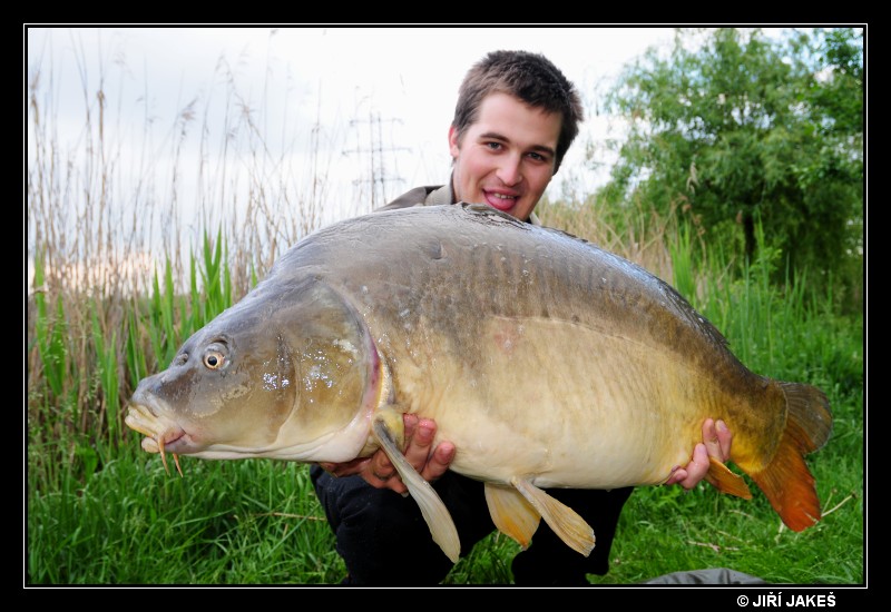 KAPR 14,5 kg